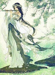我和人參二三事