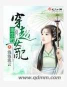 重生的穿越女配