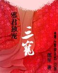 邪君獨寵：三寵