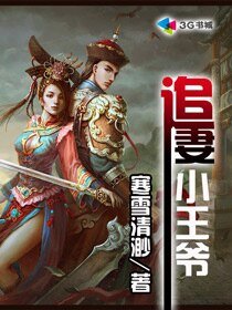 追妻小王爺