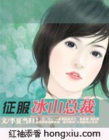 《征服冰山總裁》