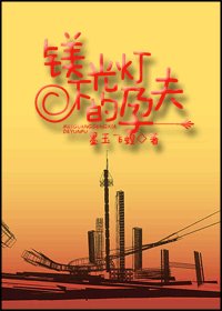 《鎂光燈下的孕夫》