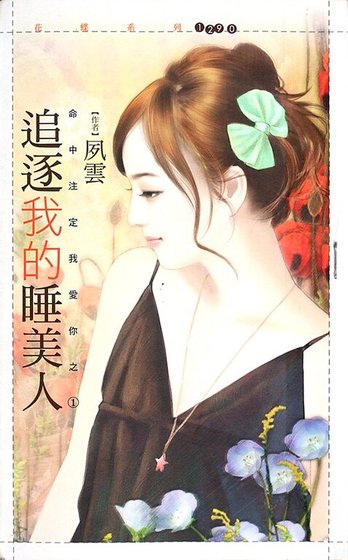 追逐我的睡美人（命中註定我愛你之一）