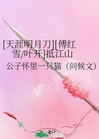 [天涯明月刀][傅紅雪/葉開]抵江山