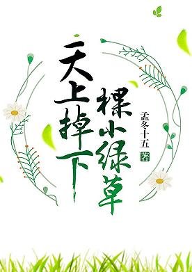 《天上掉下棵小綠草》