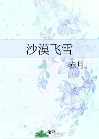 沙漠飞雪