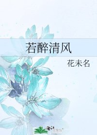 《若醉清風》