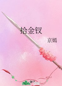 拾金釵