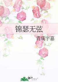 锦瑟无弦