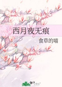 《西月夜無痕》