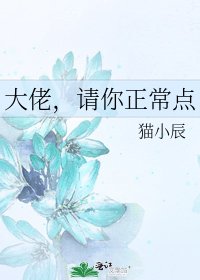 《大佬,請你正常點》