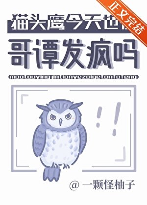 （綜英美同人）貓頭鷹今天也在哥譚發瘋嗎