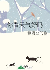 你看天气好吗