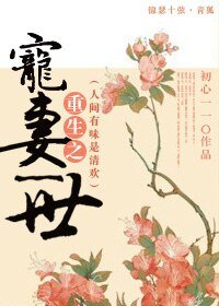 重生之寵妻一世